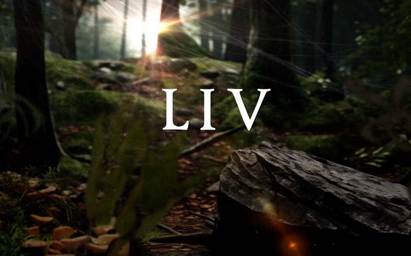 Liv Opening Sequence